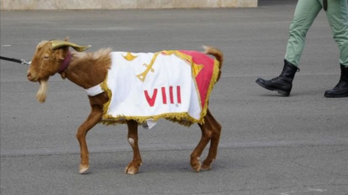 Babieca, mascota de la Legi�n que desfila en la Fiesta Nacional de 2026