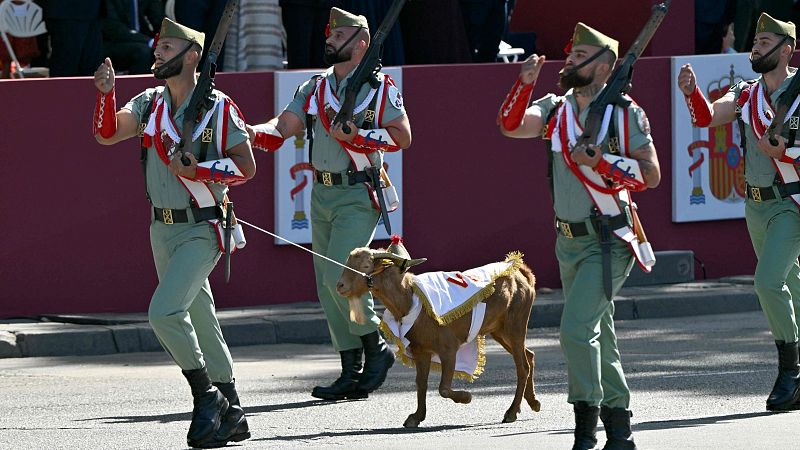 Babieca, el chivo de la Legión que desfilará por primera vez este 2026 en la Fiesta Nacional