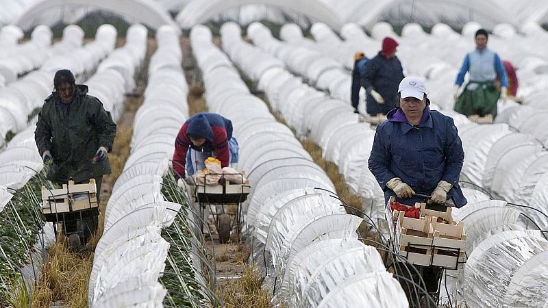 Bruselas propone recortar un 5% los fondos agrícolas y un 7% los de cohesión