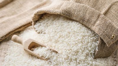 Día Internacional del Arroz: 10.000 años de historia y más de 10.000 variedades