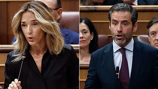 combo_cayetana_semper