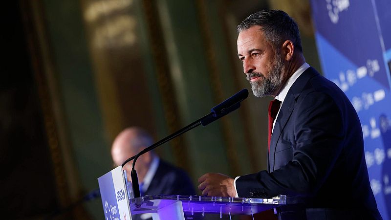 Vox pide al Constitucional que inadmita el recurso del Defensor del Pueblo sobre la ley de nietos
