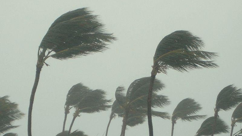 Los grandes huracanes se forman con más fuerza y rapidez en la actualidad que hace 30 años