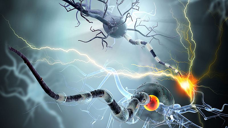 La incidencia de la esclerosis múltiple en mujeres se ha duplicado en 60 años, mientras que en hombres se mantiene estable