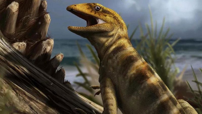 Identifican al lagarto más antiguo del mundo, el padre de todas las lagartijas y serpientes modernas
