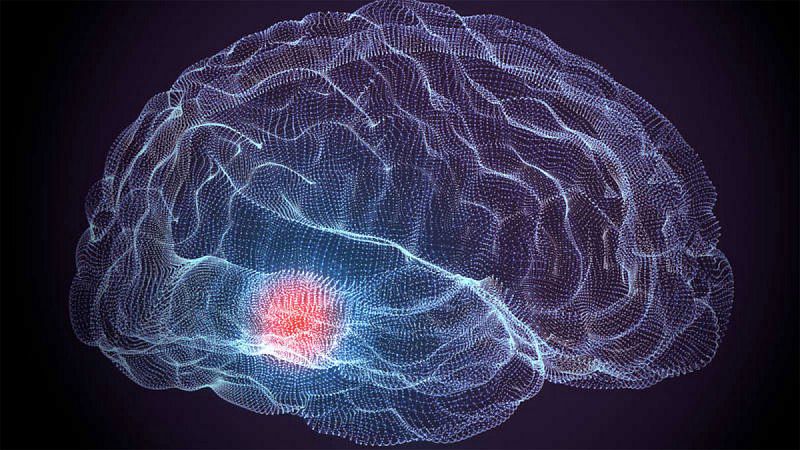 Genes exclusivos del ser humano pudieron influir en el gran tamaño de su cerebro