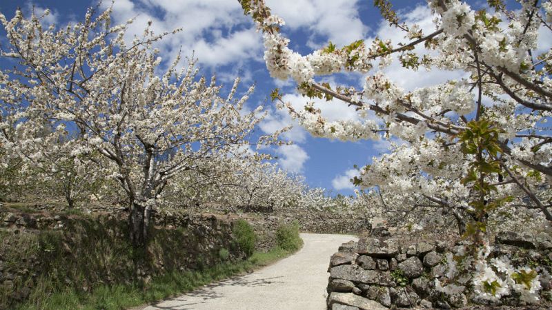 10 cosas de las que disfrutar en Extremadura