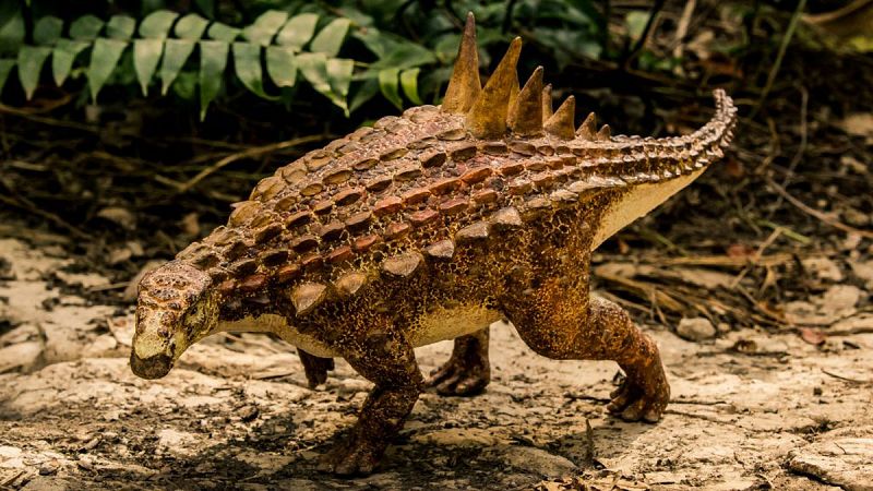 Descubren una nueva especie de dinosaurio en México
