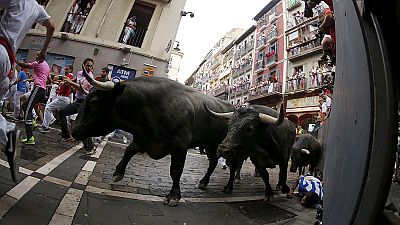 Ganadera 'Jos Escolar': cita con el peligro