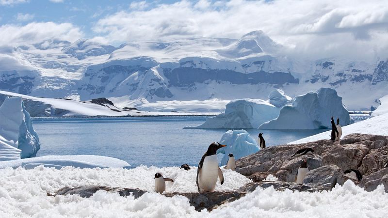 La Antártida ha perdido tres billones de toneladas de hielo desde 1992