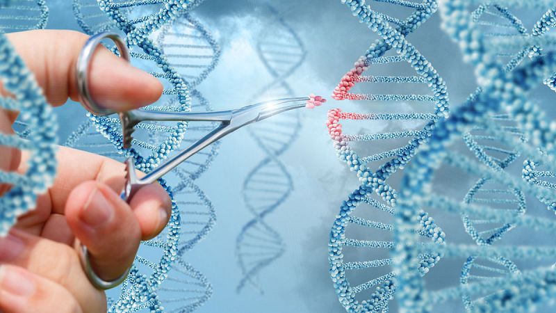 La herramienta de edición genética CRISPR podría aumentar el riesgo de cáncer