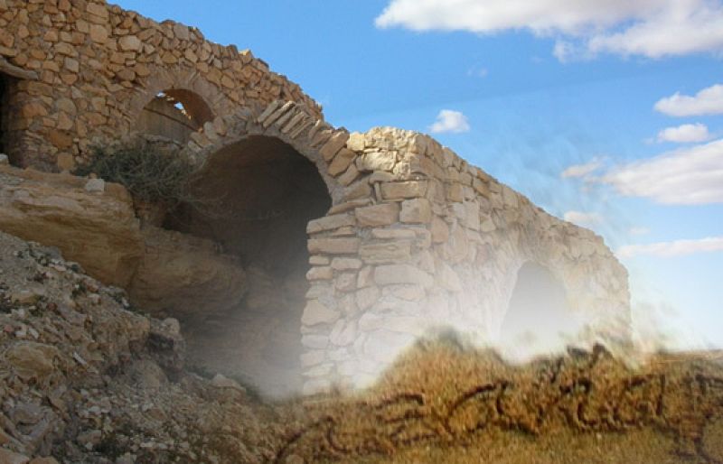 Túnez, sembrar raíces