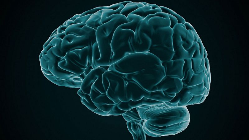 Un nuevo estudio respalda la conexión entre herpes y alzhéimer