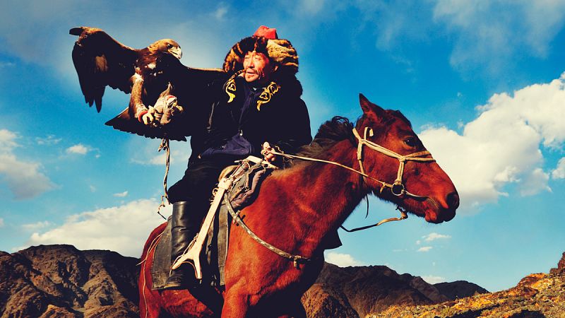 Descubren en Mongolia la evidencia más antigua de cuidado veterinario de caballos