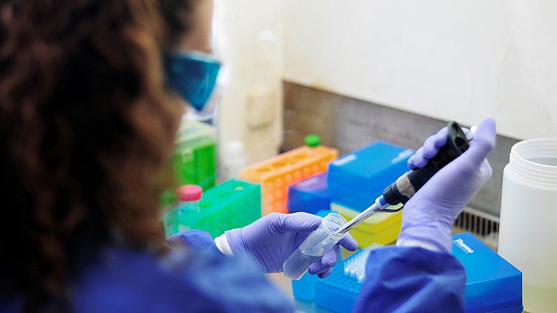 Hallan anticuerpos en supervivientes de ébola que podrían abrir la puerta a una vacuna universal contra esta enfermedad