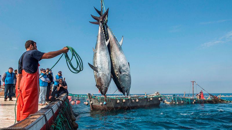Obligada a parar la flota pesquera ante la falta de acuerdo con Marruecos