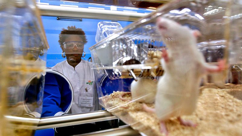 La brecha de género en la ciencia se mantendrá mientras siga dominada por una visión masculina