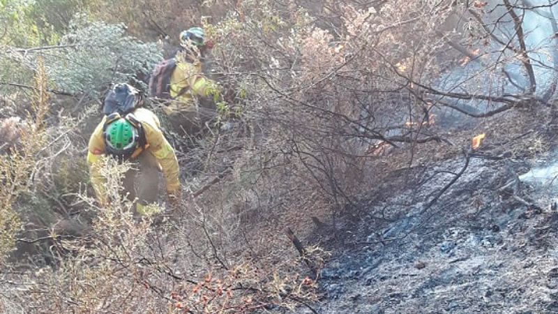 Estabilizado el incendio de Casares, lo que permite a las 50 personas desalojadas regresar a casa