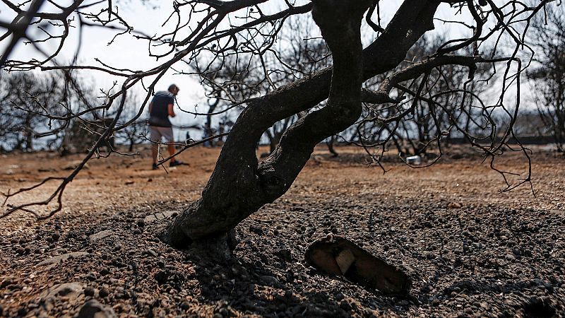 Grecia tiene "serios indicios" de que los incendios en el Ática fueron provocados