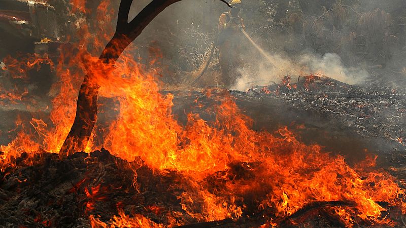 Al menos cinco muertos en California debido a los incendios