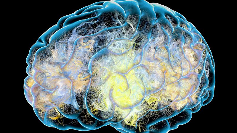 El desequilibrio de pH en el cerebro puede ser causa de alzhéimer, según un estudio