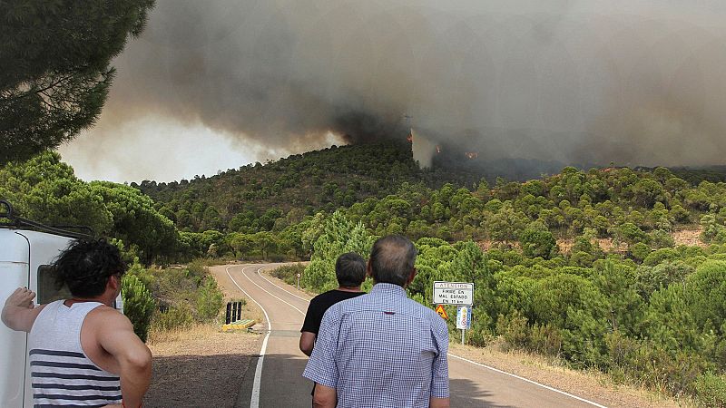 Establizado el incendio forestal de Nerva, en Huelva