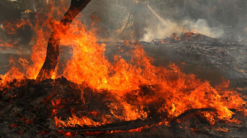 California registra el peor incendio de su historia