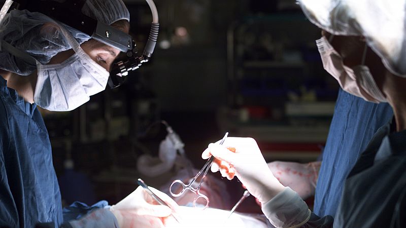 España realiza con Italia su primer trasplante cruzado internacional de riñón