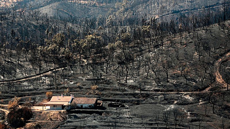 Portugal logra controlar el incendio del Algarve, aunque las llamas siguen activas