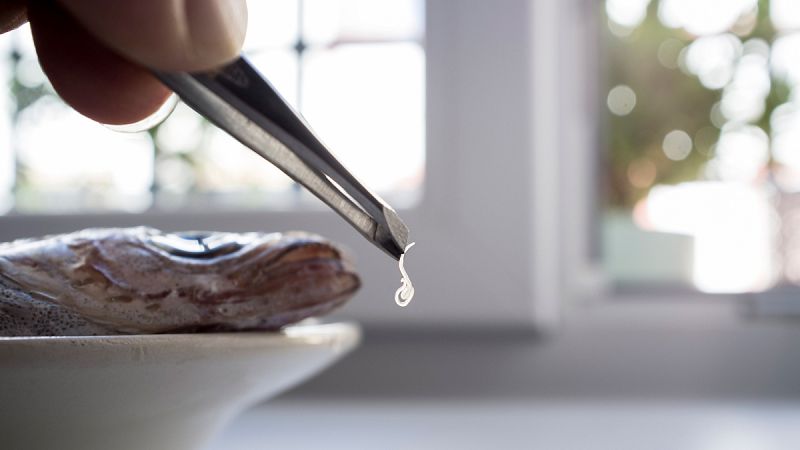 El anisakis es una "bomba" alérgica