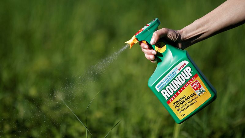 Monsanto, condenada a pagar 289 millones de dólares por los efectos cancerígenos del polémico herbicida glifosato