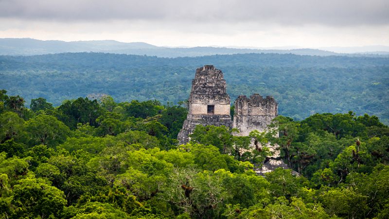 La deforestación de los mayas diezmó las reservas de carbono en el suelo