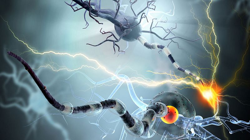 Investigadores estadounidenses descubren un nuevo subtipo de esclerosis múltiple