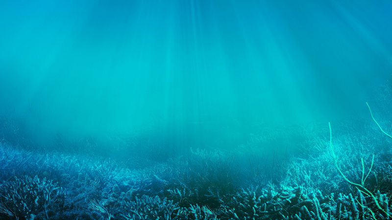 Más del 90% del calor por efecto invernadero se ha almacenado en los océanos