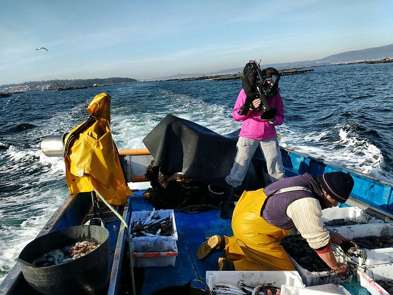 'Crónicas' recorre las rías gallegas, un ecosistema único del que viven miles de familias
