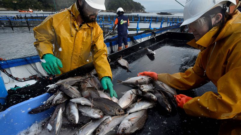 La economía española creció un 3% en 2017, una décima menos de lo avanzado, pero relanzó el empleo