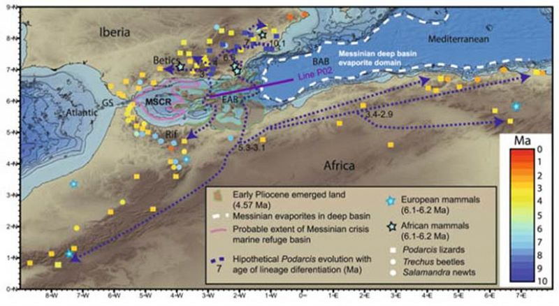 Un archipiélago volcánico en el Mar de Alborán sirvió de puente para las migraciones animales entre África y Europa