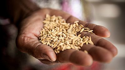 Cooperación es Desarrollo en Radio 5 - Vuelve a crecer el hambre en el mundo - 25/09/18 - Escuchar ahora