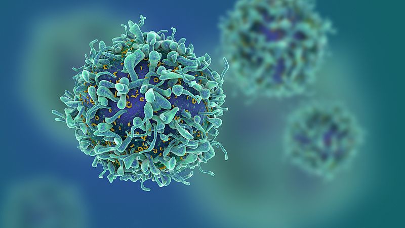 Una nueva inmunoterapia suprime el virus del sida durante meses