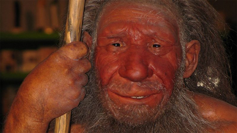 Los neandertales ya realizaban prácticas médicas, que fueron cruciales para su supervivencia