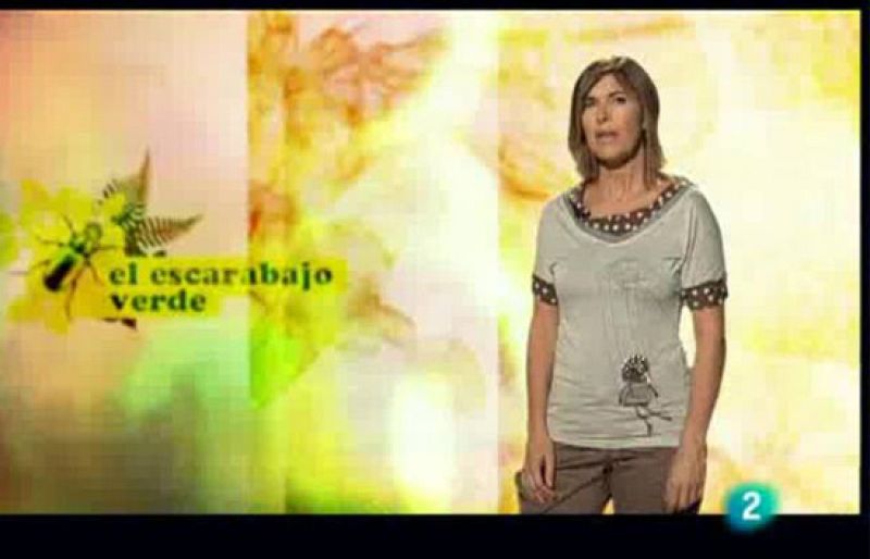 "Ni chita... ni Tarzán"  en El escarabajo verde