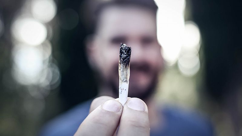 La marihuana en España: salud, ocio y negocio