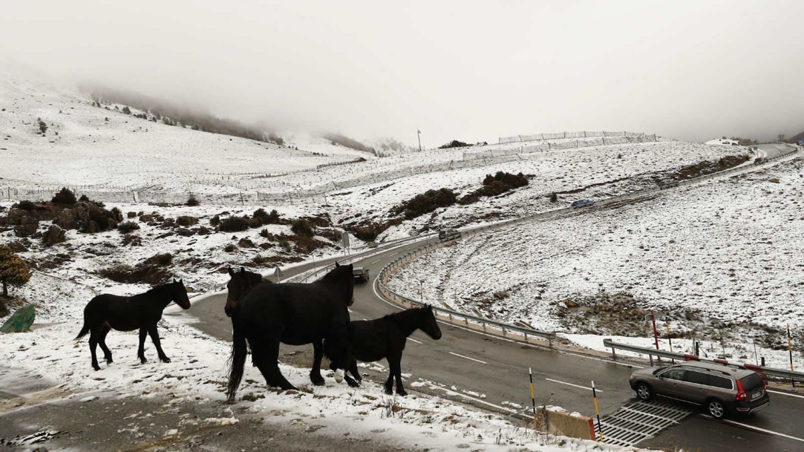 Los dos excursionistas que se habían perdido en cuando bajaban del Puigpedrós, en el Pirineo gerundés, han sido hallados con vida por un helicóptero de la Gendarmería en la zona de Malforat, en el lado francés de la Cerdanya. Los dos han sido evacuad
