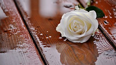 Cuaderno mayor - El proceso de duelo en el cine - 01/11/18 - Escuchar ahora