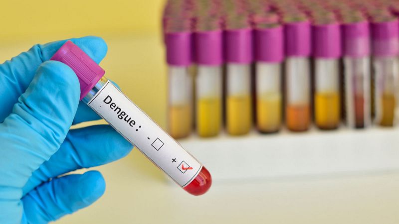 Confirman dos nuevos casos de dengue en Murcia