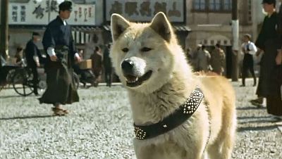 Memoria de delfín - Hachiko: perros y también héroes de cuatro patas - 10/11/18 - escuchar ahora