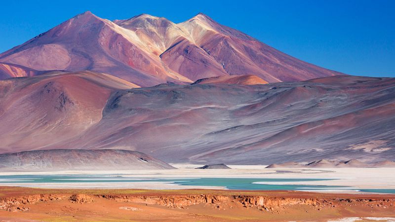 Las primeras lluvias en cinco siglos en el corazón del desierto de Atacama devastan su vida microbiana