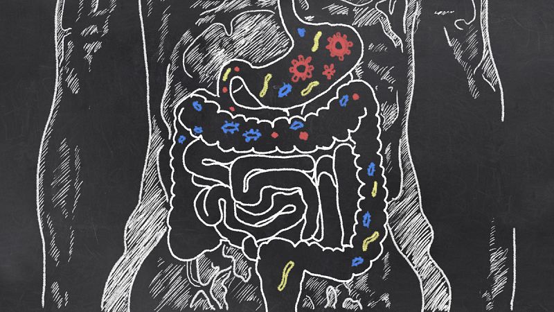 Microbiota, cuando la salud de todo el cuerpo se cocina en el estómago