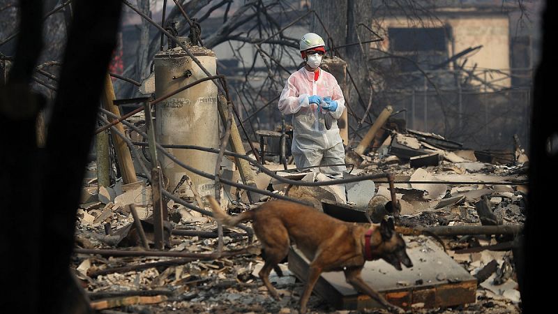 Aumentan a 1.000 los desaparecidos y a 74 los  muertos en los incendios de California