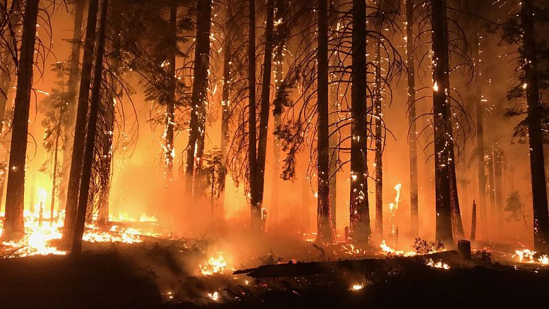 Los bomberos esperan controlar el enorme incendio de California a finales de este mes